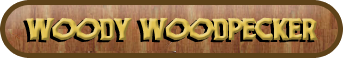 ToonJet Logo